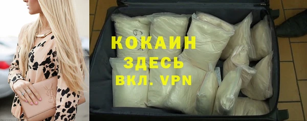 гидра Аша