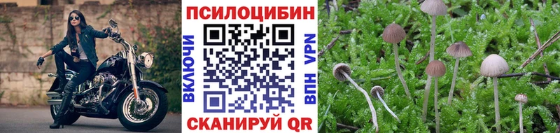 Галлюциногенные грибы Psilocybine cubensis  Чулым 
